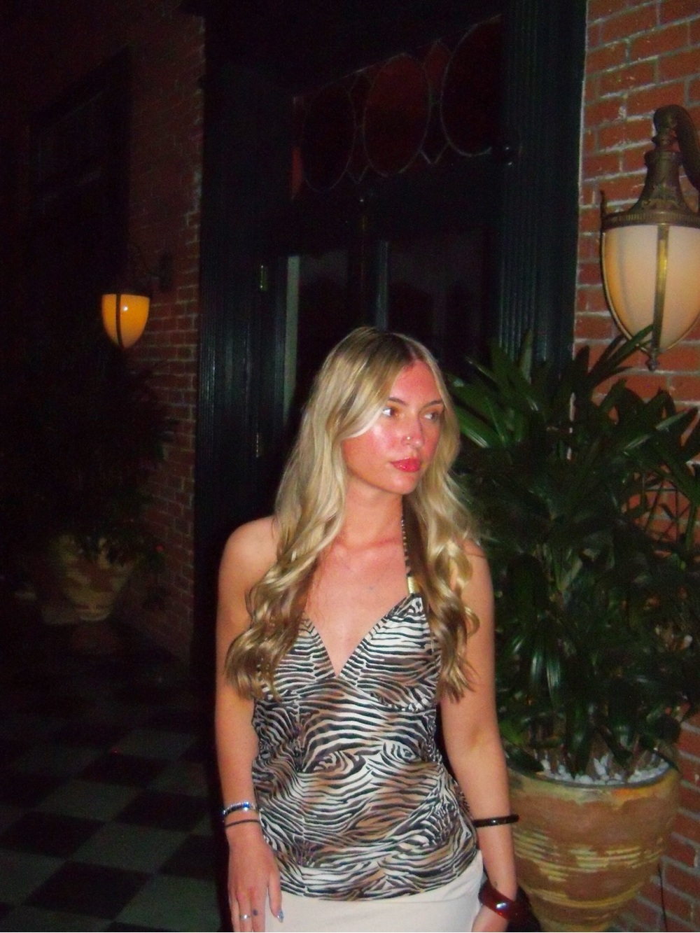 Sleeveless Zebra Print Halter Top - Neutral Tones